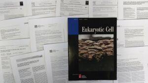 Collage: Cover von Eukaryotic Cell 9/2010 (Bild E.-M. Jung) und Publikationen der Arbeitsgruppe.