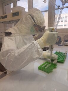 Aufbereitung alter DNA im Reinraumlabor.