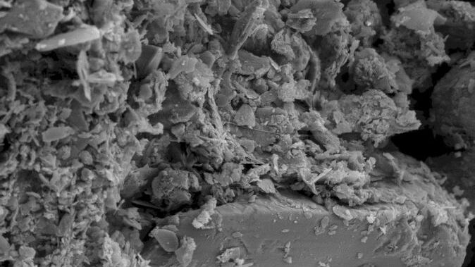 Scanning electron micrograph image of soil.